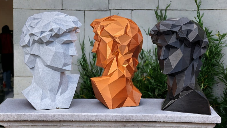 Geometric Bust of David - Michelangelo's Geometric David