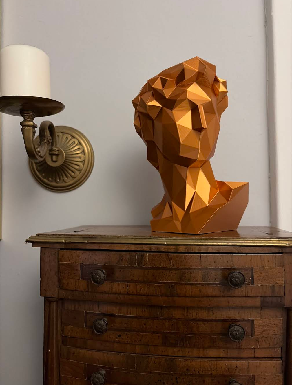 Geometric Bust of David - Michelangelo's Geometric David
