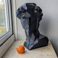 Geometric Bust of David - Michelangelo's Geometric David