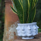 Face Planter Multi-Headed Plant Pot