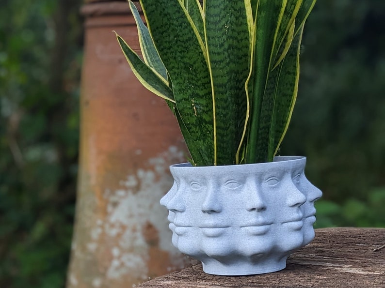 Face Planter Multi-Headed Plant Pot