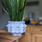 Face Planter Multi-Headed Plant Pot