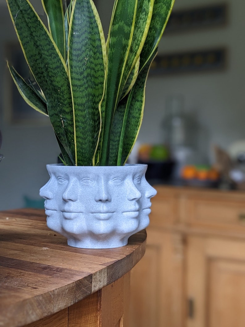 Face Planter Multi-Headed Plant Pot