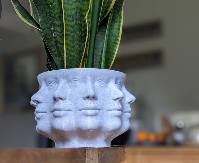 Face Planter Multi-Headed Plant Pot